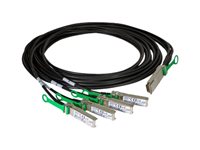 Intel cable de conexión directa - 2 m