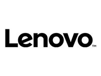 Lenovo - disco duro - 300 GB - SAS 6Gb/s