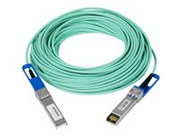 NETGEAR cable de conexión directa 10GBase - 7 m