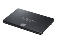 Samsung 750 EVO MZ-750250 - SSD - 250 GB - SATA 6Gb/s