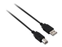 V7 - cable USB - USB a USB Tipo B - 3 m