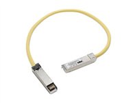 Cisco cable de interconexión - 50 cm