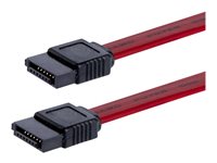 StarTech.com Cable SATA Serial ATA de 12 pulgadas - Cable SATA - 30.5 cm