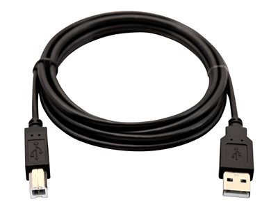  V7  - cable USB - USB a USB Tipo B - 2 mV7USB2AB-02M-1E