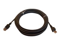 Zebra - cable serie - 5 m
