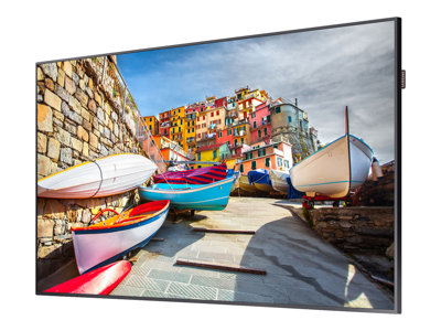 Samsung PM43H PMH Series - 43" indicador LED - Full HD LH43PMHPBGC/EN