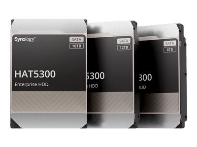 Synology HAT5300 HAT5300-12T