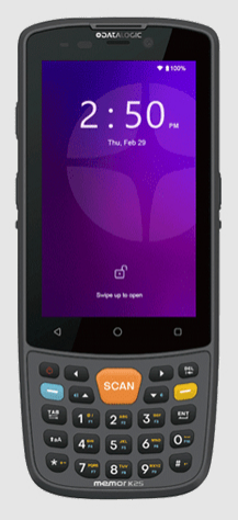 DL Memor K25 946250001