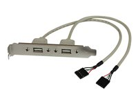 Startech.com Adaptador de Placa  USB A Hembra de 2 puertos USBPLATE