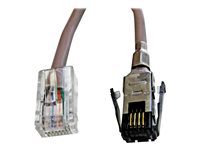 APG MultiPRO CD-007 - cable de cajón de dinero - RJ-45 a SDL de 4 patillas - 1.524 m