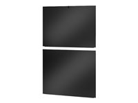 APC Easy Rack - panel lateral de bastidor - 42U