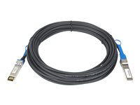 NETGEAR cable de conexión directa 10GBase - 10 m