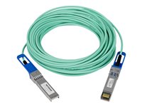 NETGEAR cable de conexión directa 10GBase - 15 m