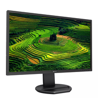 Monitor Profesional Philips 221B8LJEB 21.5