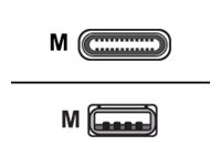 Poly - Plantronics - cable USB de tipo C - USB-C a USB - 1.5 m