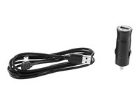 TomTom Cargador USB para coche adaptador de corriente para el coche