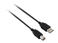 V7 - cable USB - USB a USB Tipo B - 1.8 m