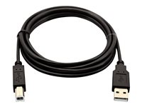 V7 - cable USB - USB a USB Tipo B - 2 m