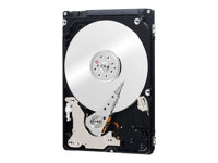 WD Black Performance Hard Drive WD1600BEKX - disco duro - 160 GB - SATA 6Gb/s