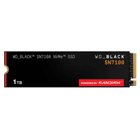 WD Black SN7100 SSD 1TB PCIe Gen4x4 7250MB-s