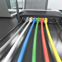 CABLE RED HEADLINE RJ45 CAT.6  CABLUTP AWG26 CCA GRIS 30CM A135-0772