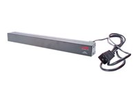 APC Basic Rack-Mount PDU - unidad de distribución de alimentación
