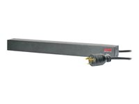 APC Basic Rack-Mount PDU - unidad de distribución de alimentación