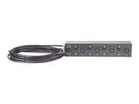 APC Basic Rack PDU - unidad de distribución de alimentación