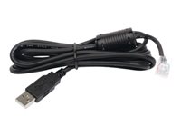 APC - cable USB - USB a RJ-45 (10 patillas) - 1.8 m