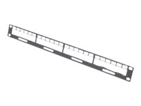  APC  - panel de manejo de cables - 1UAR8451