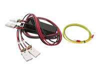 APC Smart-UPS RT Extension Cable - cable de alimentación - 4.6 m