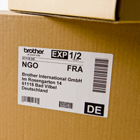 Brother Etiquetas DK11202 Dirección 62x100mm DK11202