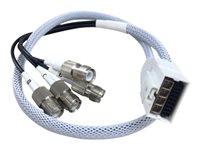 Cisco cable para antena - 61 cm