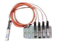 Cisco Direct-Attach Breakout Cable - cable de red - 3 m - naranja
