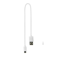 Dicota ACTIVE STYLUS FOR APPLE IPAD   ACCS. D32074