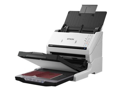  Epson Business Epson accesorio de sobremesa de conexión del escánerB12B819011