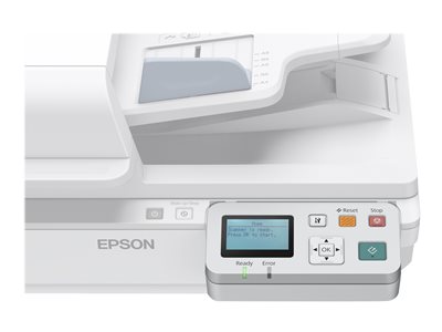  Epson Business Epson Network Scan Module - servidor para escáner - 10/100 EthernetB12B808411
