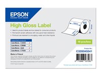 Epson - etiquetas troqueladas - de alto brillo - 210 etiqueta(s) - 102 x 152 mm