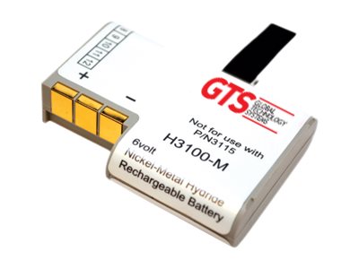  GTS  H3100-M - batería para PDA - NiMH - 750 mAhH3100-M
