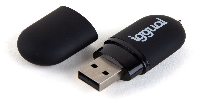 iggual Lápiz USB 2.0 16GB PEN16 negro con tapa IGG318492