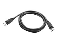 Lenovo cable DisplayPort - 1.8 m