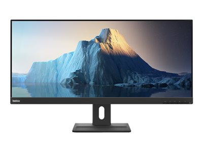  LENOVO  ThinkVision E29w-20 - monitor LED - 29