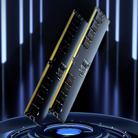 DDR5 16GB 262 PIN U-DIMM 5600MBMEMU-DIMM DDR5 5600MBPS LD5U16G56C46ST-BGS