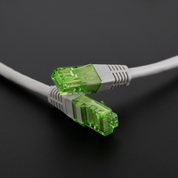 Nanocable Cable RJ45 Cat.6 UTP AWG26 CCA 25cm 10.20.1400-L25