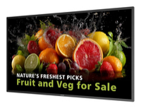 42.5 3840 X 2160 600CDM2 ANDROILFDDP HDMI USB-C RJ45 43BDL5050D/00