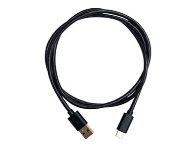  QNAP  - cable USB de tipo C - USB Tipo A a USB-C - 1 mCAB-U310G10MAC
