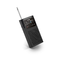 SPC Radio ICY  MAX 4588N