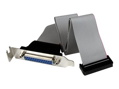  STARTECH.COM  Adaptador de 40cm Header Cabezal Bracket Perfil Bajo Low Profile Paralelo DB25 a IDC26 Pines Placa Base - 1x DB25 Hembra - panel paraleloPLATE25F16LP