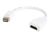 StarTech.com Adaptador  HDMI a Mini DVI - Hembra HDMI -Conector Macho Mini DVI- Para Macbook y iMac - Blanco - adaptador de vídeo - HDMI/DVI - 20 cm