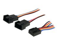 StarTech.com Cable Adaptador Divisor Splitter de 0,3m PWM 4 Pines de Alimentación Ventilador Fan Placa Base Macho a Hembra - separador de alimentación de ventilador - PWM de 4 patillas a PWM de 4 patillas - 31 cm